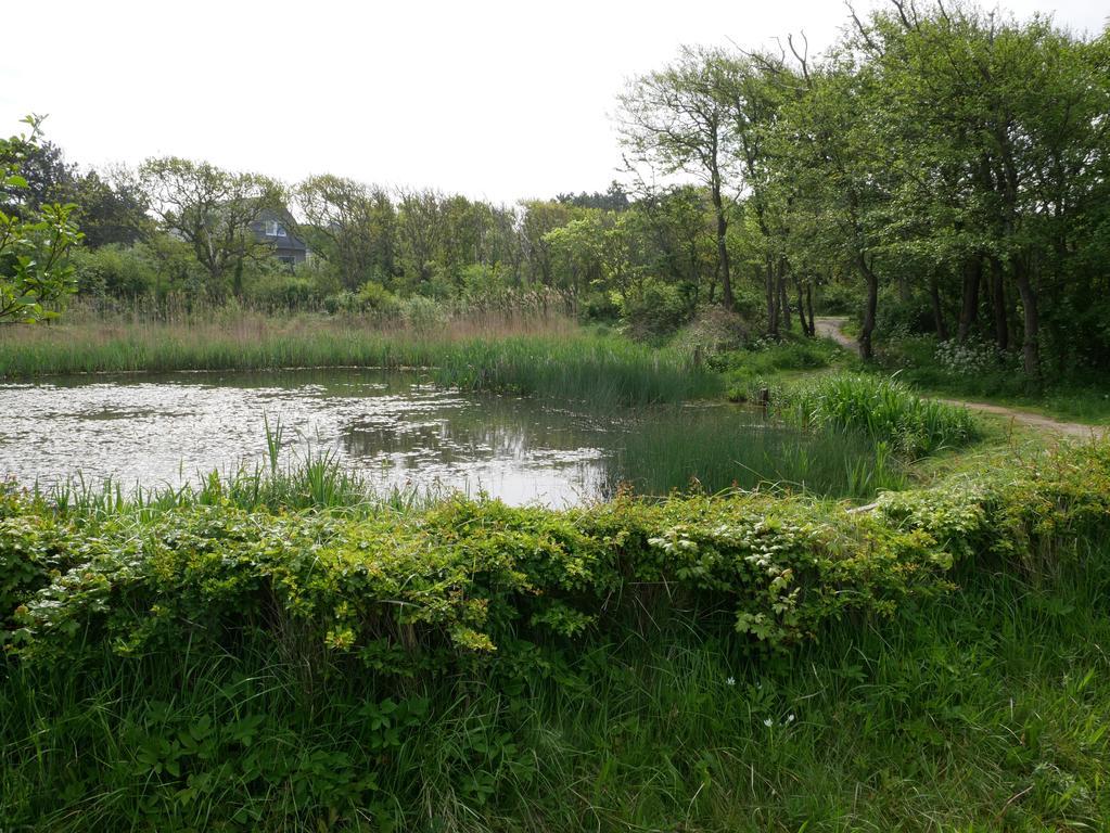 Апарт отель Huize De Duinen Берген ан Зее Экстерьер фото